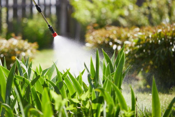 24/7 Emergency Mosquito Control experts in Hallsville, MO