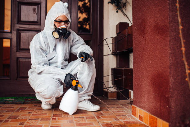 Reliable Mosquito Control contractor in Hallsville, MO by Show Me Pest Control