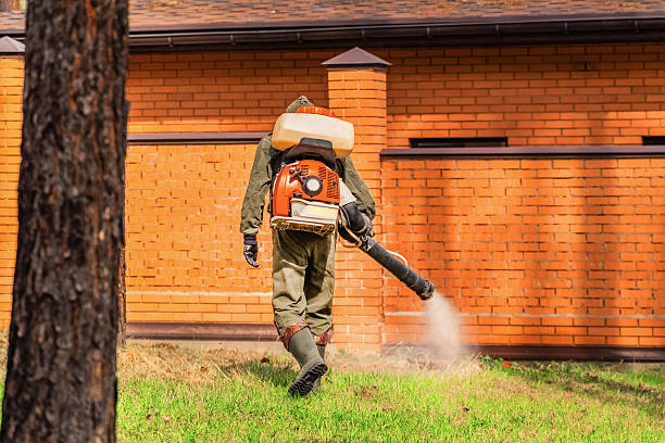 Top rated local Mosquito Control specialists in Hallsville, MO